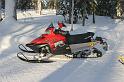 07 Polaris Dragon